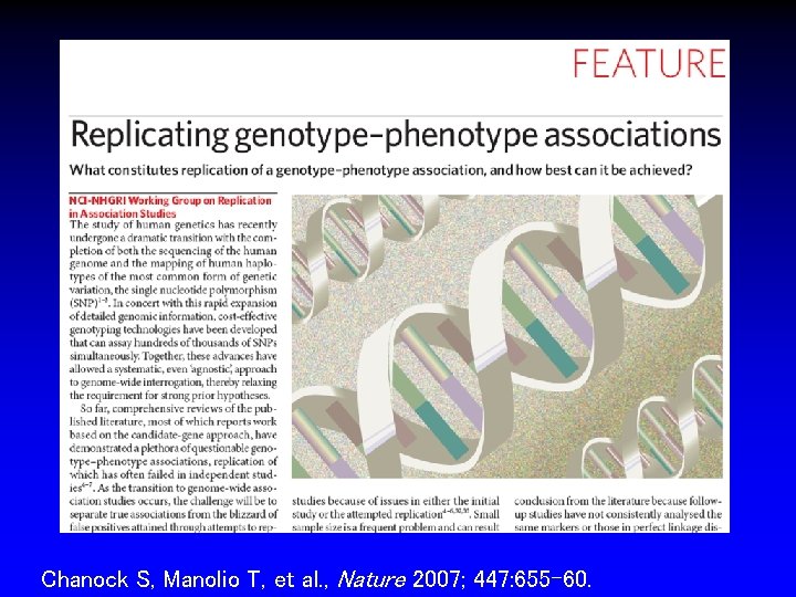 Chanock S, Manolio T, et al. , Nature 2007; 447: 655 -60. Chanock S, Manolio T, et al. , Nature 2007; 447: 655 -60.