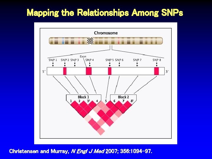 Mapping the Relationships Among SNPs Christensen and Murray, N Engl J Med 2007; 356: