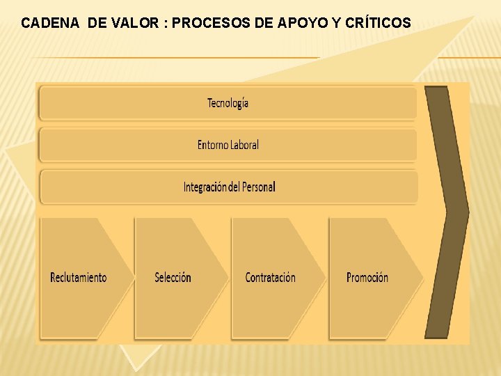 CADENA DE VALOR : PROCESOS DE APOYO Y CRÍTICOS 