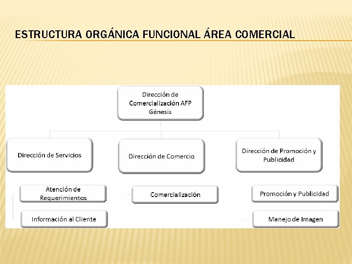 ESTRUCTURA ORGÁNICA FUNCIONAL ÁREA COMERCIAL 