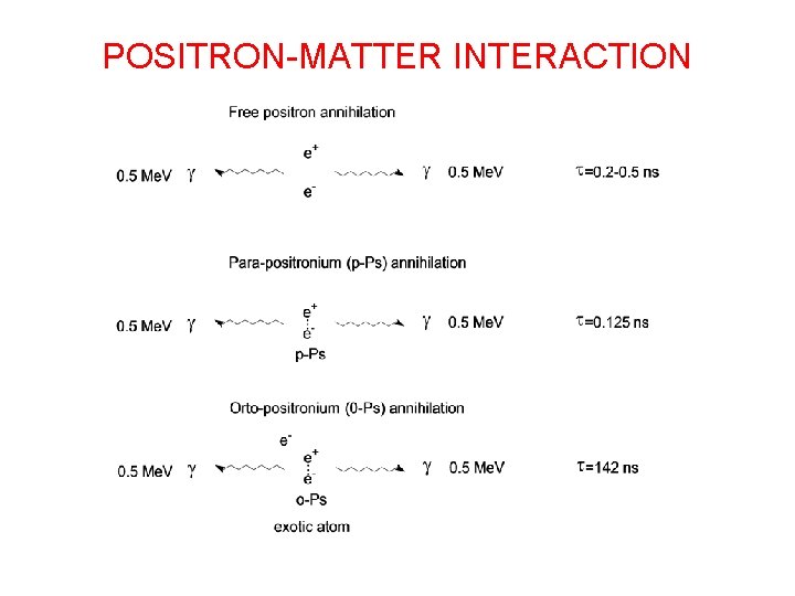 POSITRON-MATTER INTERACTION 