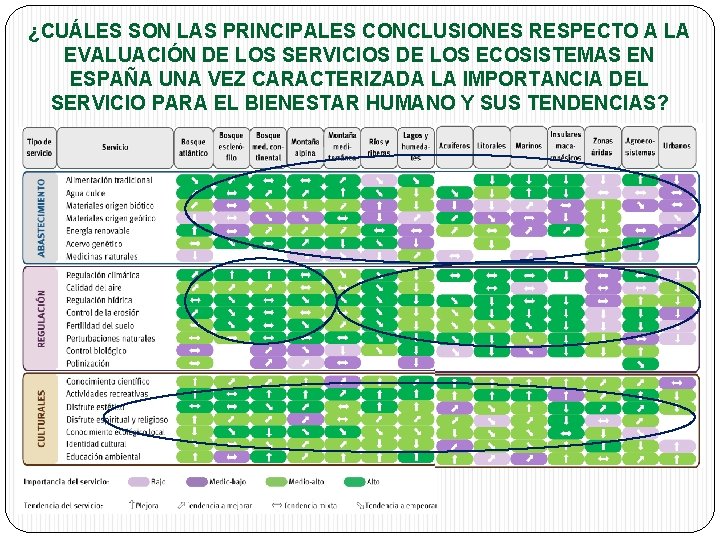 ¿CUÁLES SON LAS PRINCIPALES CONCLUSIONES RESPECTO A LA EVALUACIÓN DE LOS SERVICIOS DE LOS