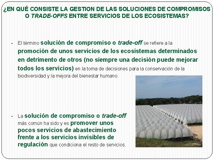 ¿EN QUÉ CONSISTE LA GESTION DE LAS SOLUCIONES DE COMPROMISOS O TRADE-OFFS ENTRE SERVICIOS