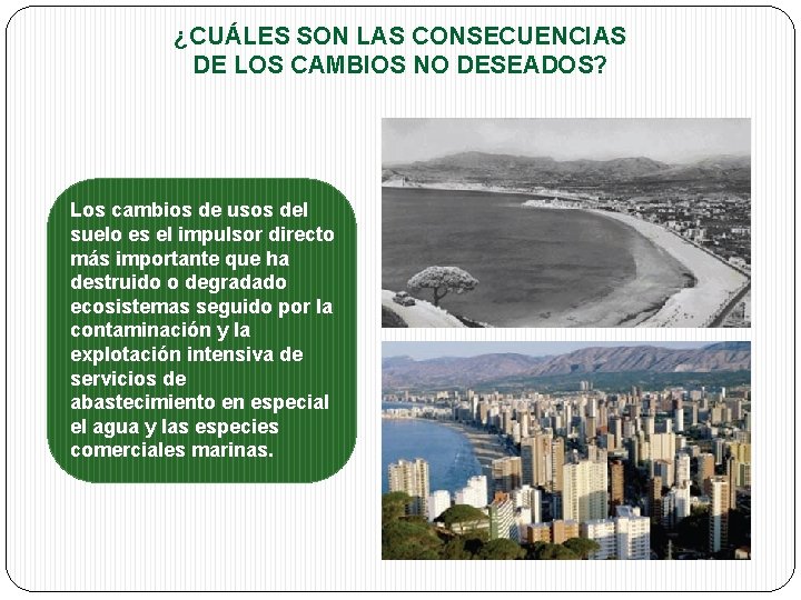 ¿CUÁLES SON LAS CONSECUENCIAS DE LOS CAMBIOS NO DESEADOS? Los cambios de usos del