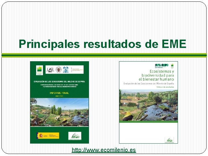 Principales resultados de EME http: //www. ecomilenio. es 