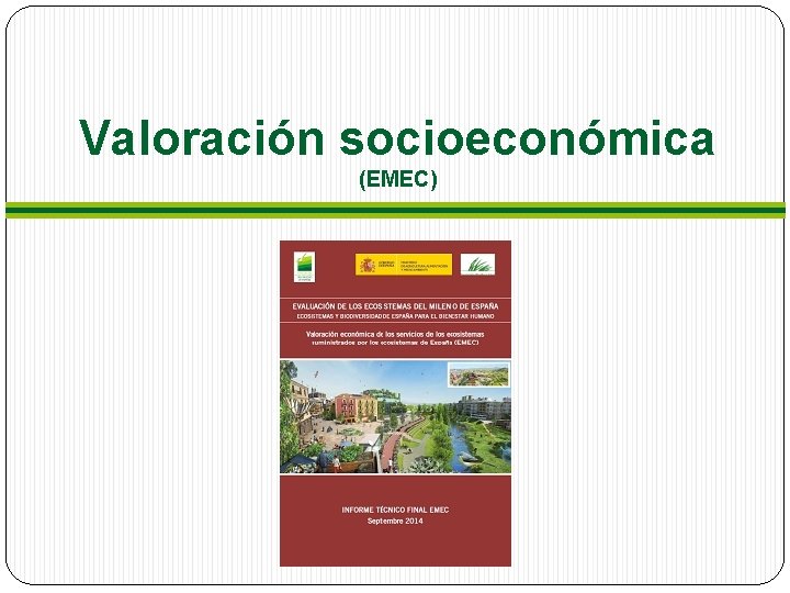 Valoración socioeconómica (EMEC) 