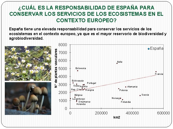 ¿CUÁL ES LA RESPONSABILIDAD DE ESPAÑA PARA CONSERVAR LOS SERVICIOS DE LOS ECOSISTEMAS EN