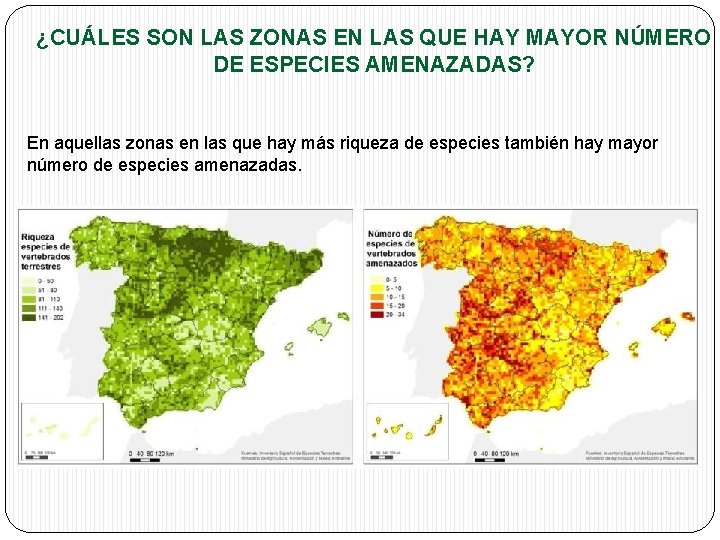 ¿CUÁLES SON LAS ZONAS EN LAS QUE HAY MAYOR NÚMERO DE ESPECIES AMENAZADAS? En