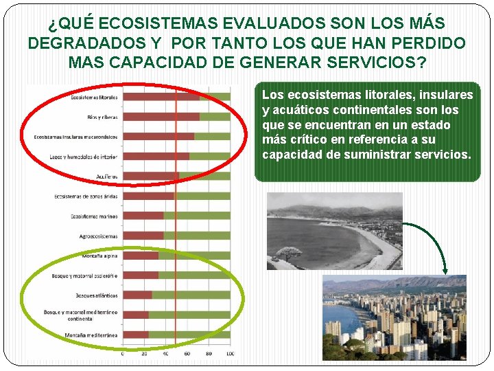 ¿QUÉ ECOSISTEMAS EVALUADOS SON LOS MÁS DEGRADADOS Y POR TANTO LOS QUE HAN PERDIDO