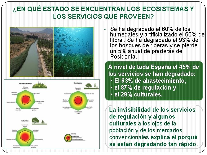 ¿EN QUÉ ESTADO SE ENCUENTRAN LOS ECOSISTEMAS Y LOS SERVICIOS QUE PROVEEN? • Se