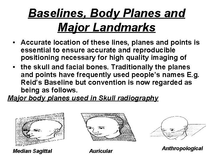 Baselines, Body Planes and Major Landmarks • Accurate location of these lines, planes and