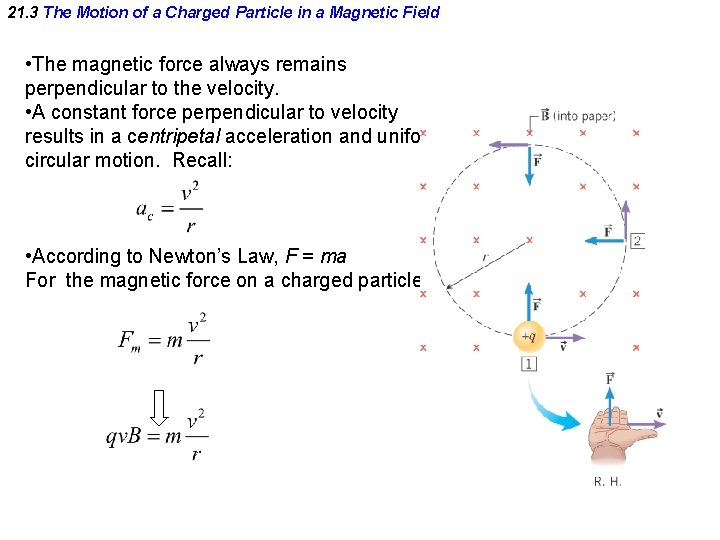 21. 3 The Motion of a Charged Particle in a Magnetic Field • The