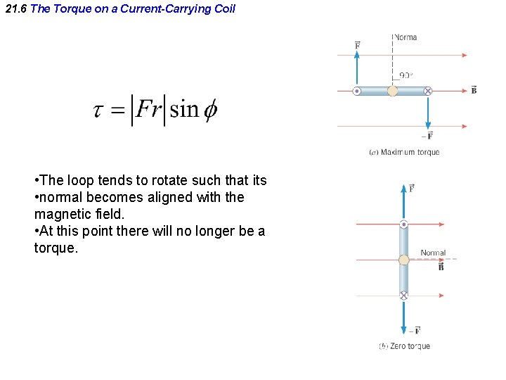 21. 6 The Torque on a Current-Carrying Coil • The loop tends to rotate