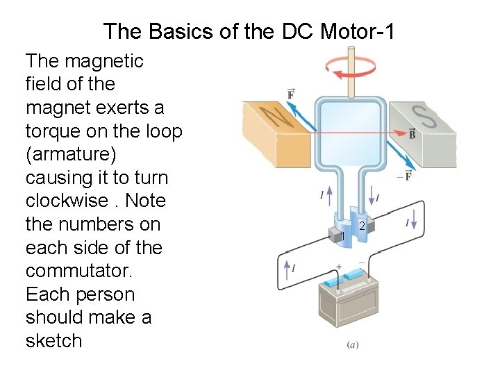 The Basics of the DC Motor-1 The magnetic field of the magnet exerts a