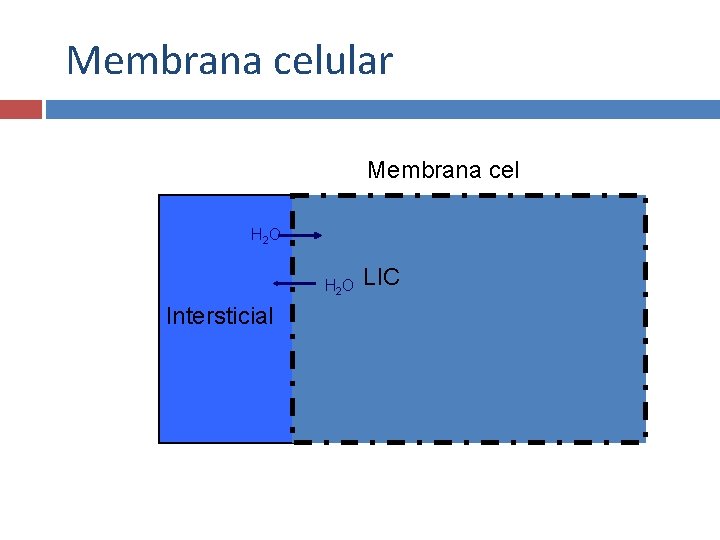 Membrana celular Membrana cel H 2 O Intersticial LIC 