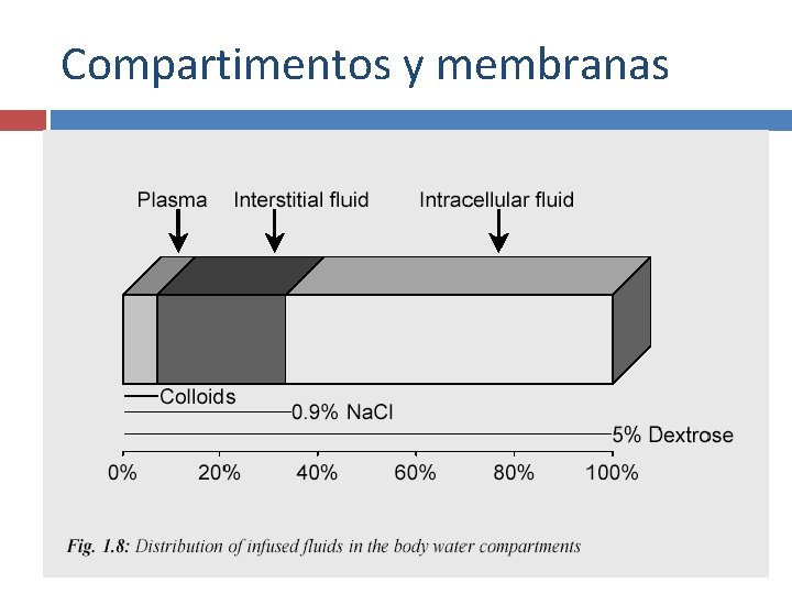 Compartimentos y membranas 