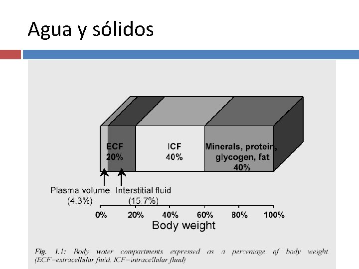 Agua y sólidos 