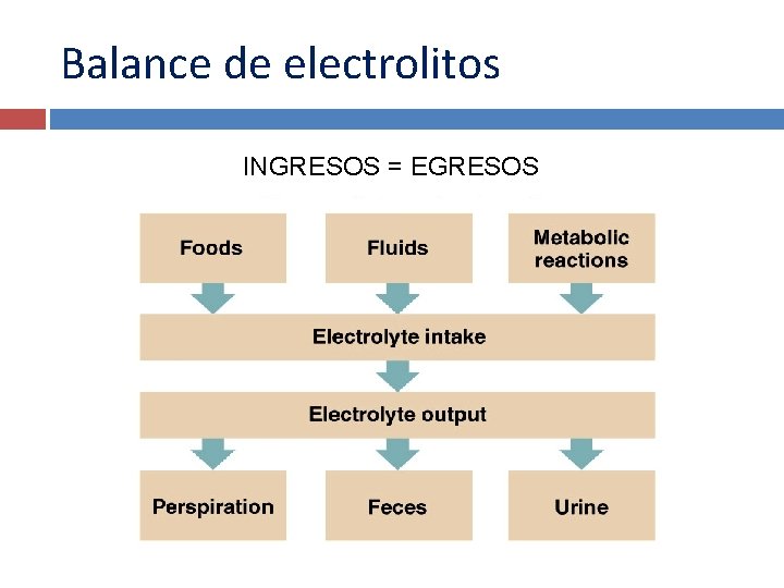 Balance de electrolitos INGRESOS = EGRESOS 