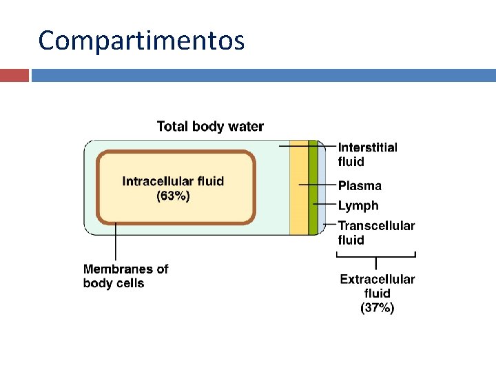 Compartimentos 