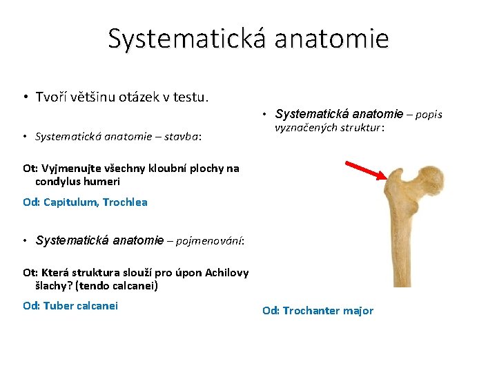 Systematická anatomie • Tvoří většinu otázek v testu. • Systematická anatomie – stavba: •