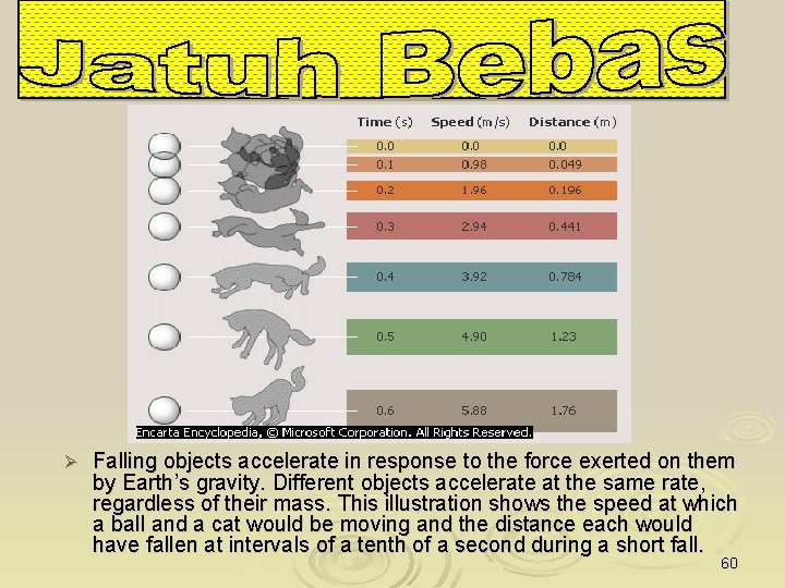 Ø Falling objects accelerate in response to the force exerted on them by Earth’s