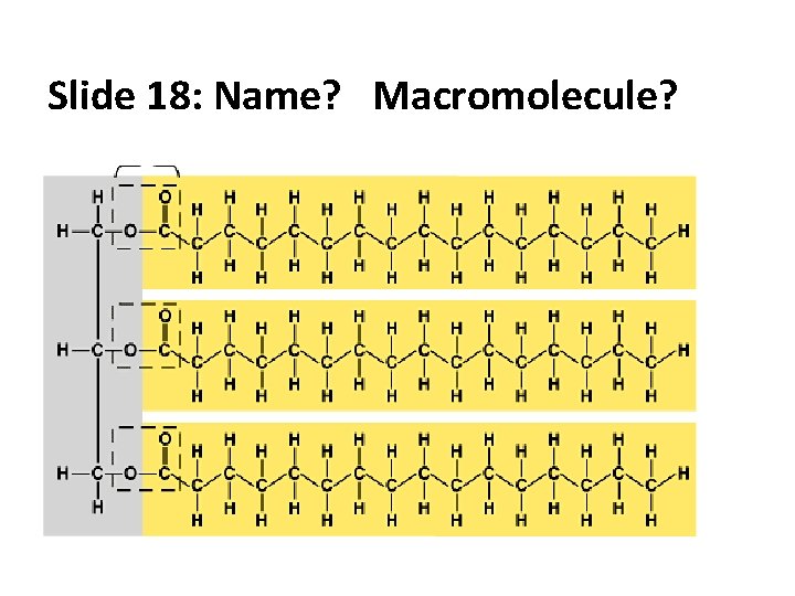 Slide 18: Name? Macromolecule? 