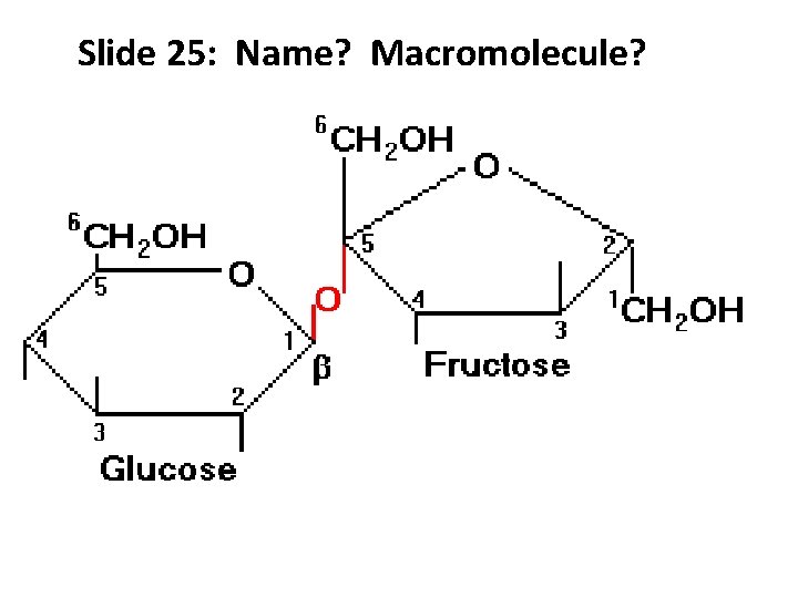 Slide 25: Name? Macromolecule? 