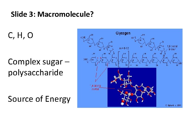 Slide 3: Macromolecule? C, H, O Complex sugar – polysaccharide Source of Energy 