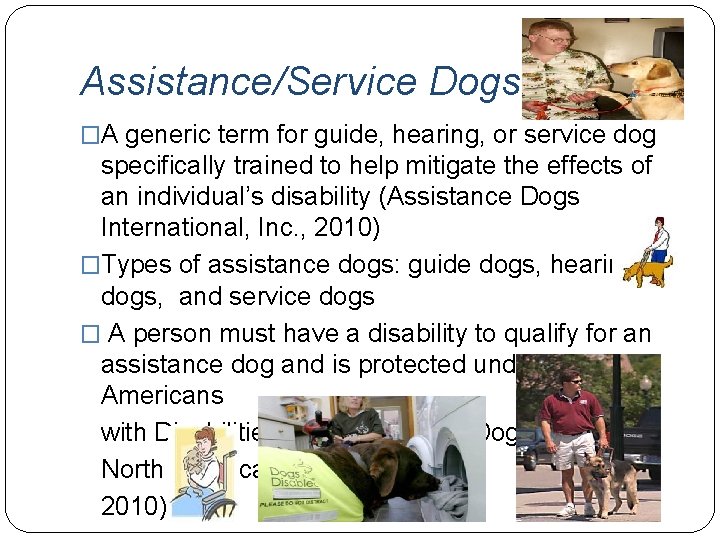 Assistance/Service Dogs �A generic term for guide, hearing, or service dog specifically trained to