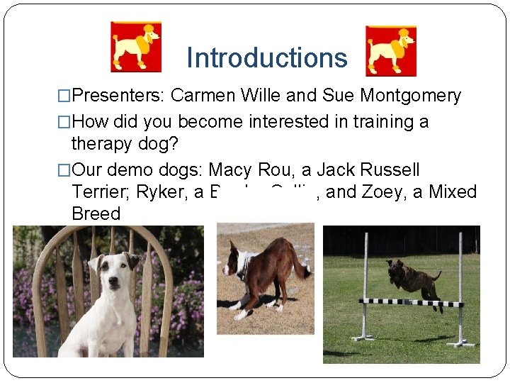 Introductions �Presenters: Carmen Wille and Sue Montgomery �How did you become interested in training