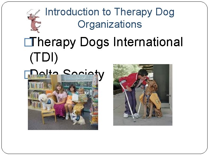 Introduction to Therapy Dog Organizations �Therapy Dogs International (TDI) �Delta Society 