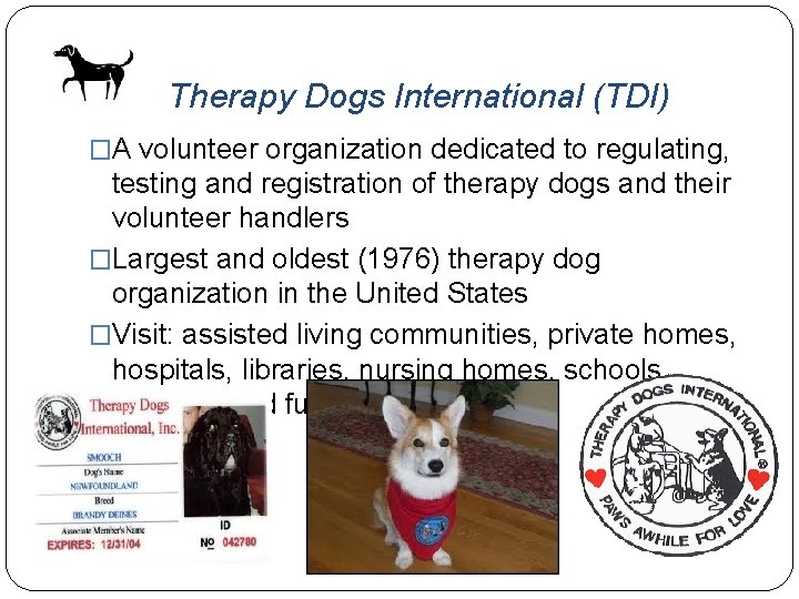 Therapy Dogs International (TDI) �A volunteer organization dedicated to regulating, testing and registration of