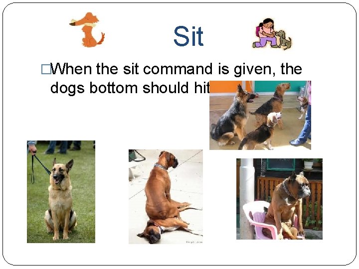 Sit �When the sit command is given, the dogs bottom should hit the ground.