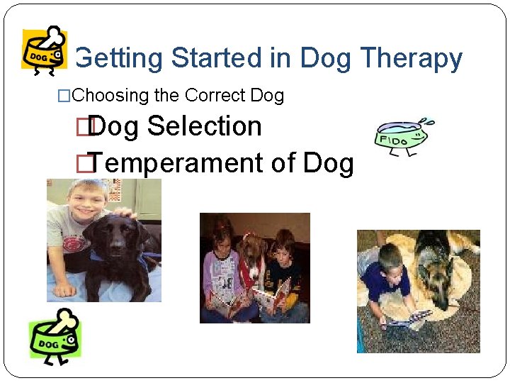 Getting Started in Dog Therapy �Choosing the Correct Dog �Dog Selection �Temperament of Dog