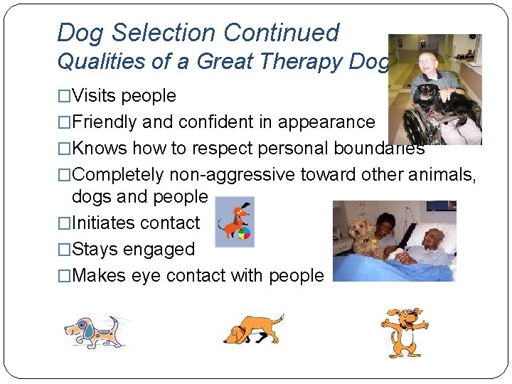 Dog Selection Continued Qualities of a Great Therapy Dog �Visits people �Friendly and confident