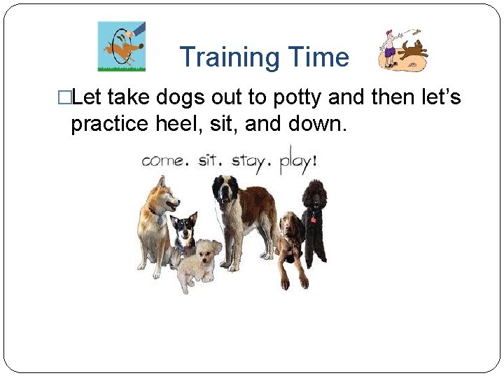 Training Time �Let take dogs out to potty and then let’s practice heel, sit,