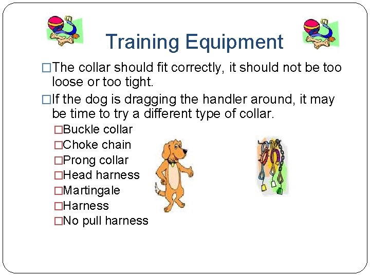 Training Equipment �The collar should fit correctly, it should not be too loose or