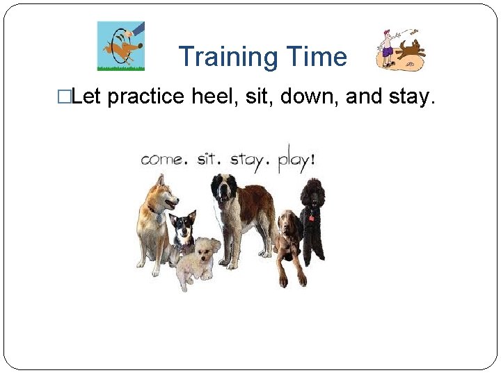 Training Time �Let practice heel, sit, down, and stay. 