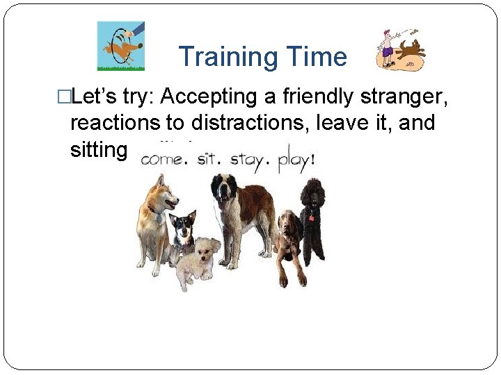 Training Time �Let’s try: Accepting a friendly stranger, reactions to distractions, leave it, and
