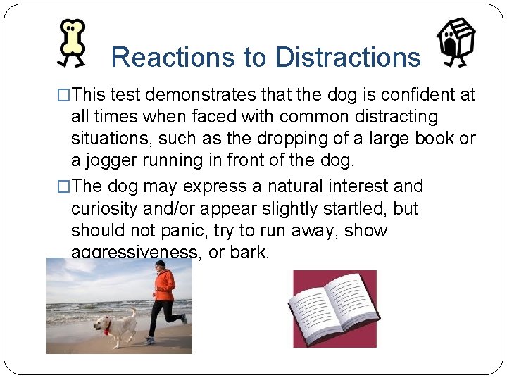 Reactions to Distractions �This test demonstrates that the dog is confident at all times