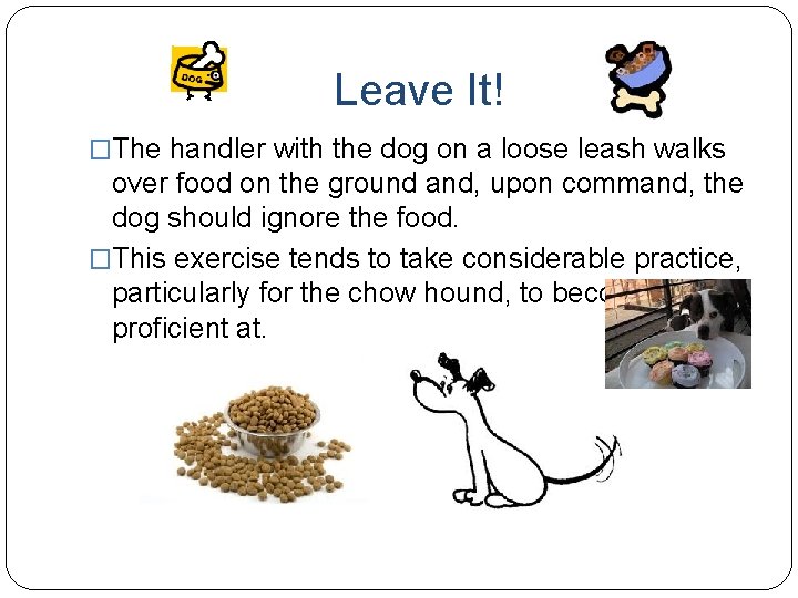 Leave It! �The handler with the dog on a loose leash walks over food