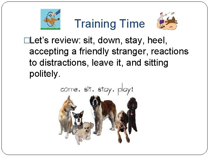 Training Time �Let’s review: sit, down, stay, heel, accepting a friendly stranger, reactions to