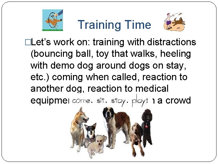 Training Time �Let’s work on: training with distractions (bouncing ball, toy that walks, heeling