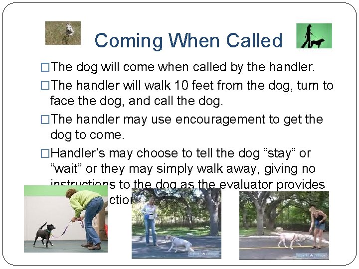 Coming When Called �The dog will come when called by the handler. �The handler
