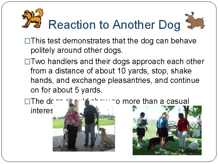 Reaction to Another Dog �This test demonstrates that the dog can behave politely around