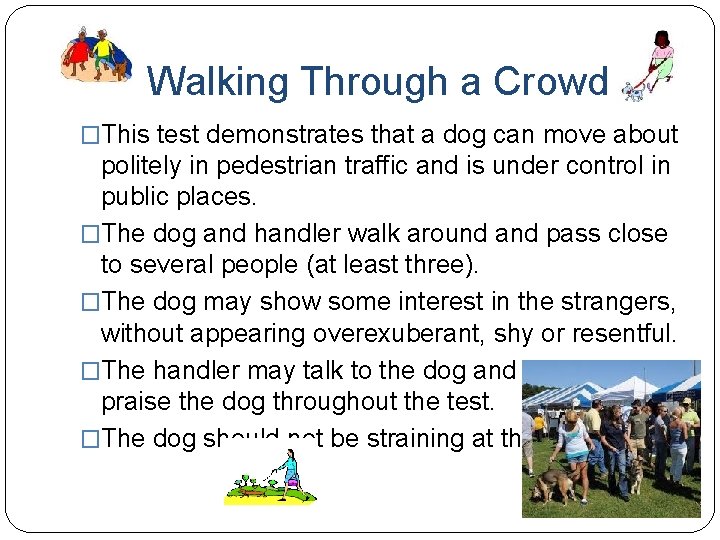 Walking Through a Crowd �This test demonstrates that a dog can move about politely
