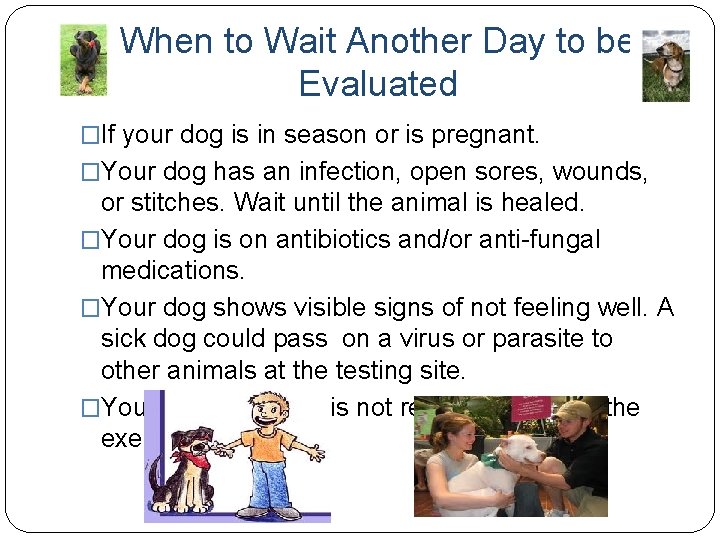 When to Wait Another Day to be Evaluated �If your dog is in season