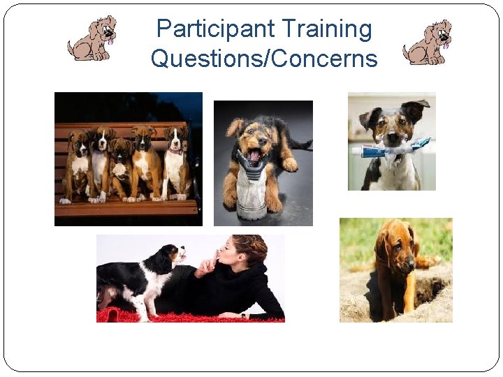 Participant Training Questions/Concerns 