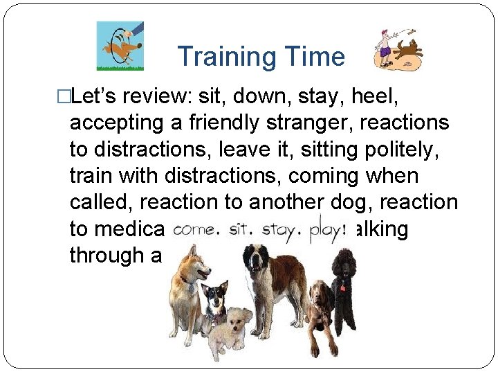 Training Time �Let’s review: sit, down, stay, heel, accepting a friendly stranger, reactions to