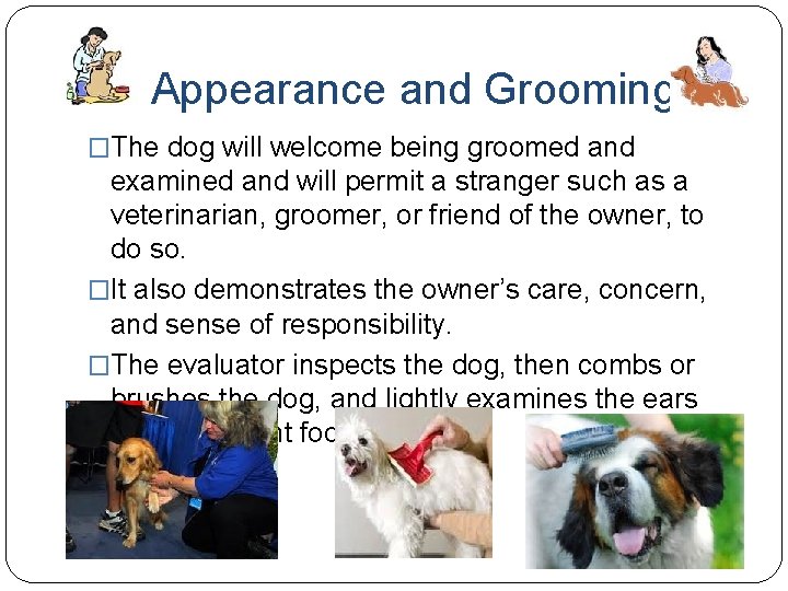 Appearance and Grooming �The dog will welcome being groomed and examined and will permit